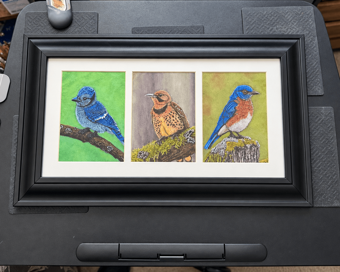 Native Birds Framed Print Set - Blue Jay, Bluebird, Flicker