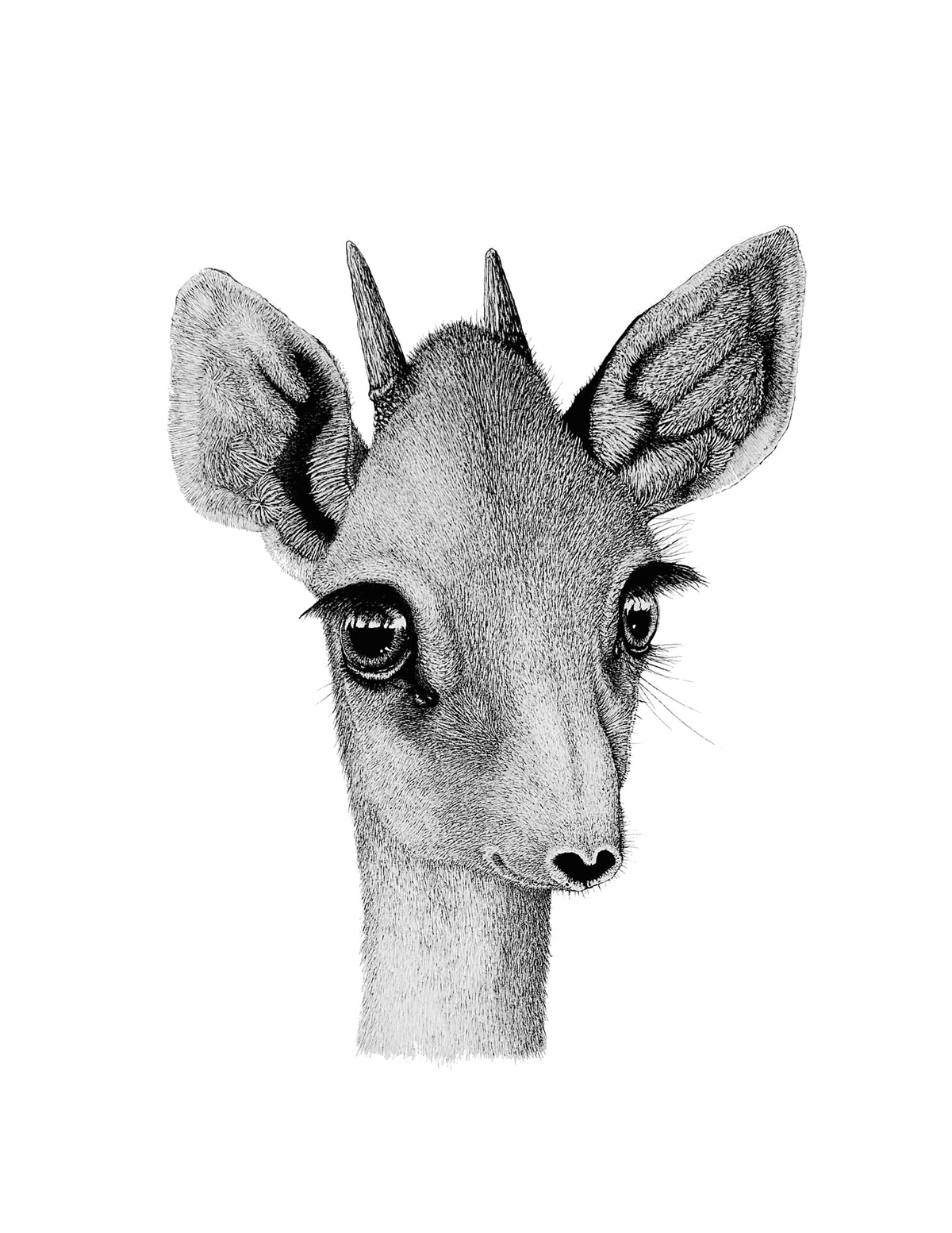 Ink Work - aGuyWithMSthatDraws
