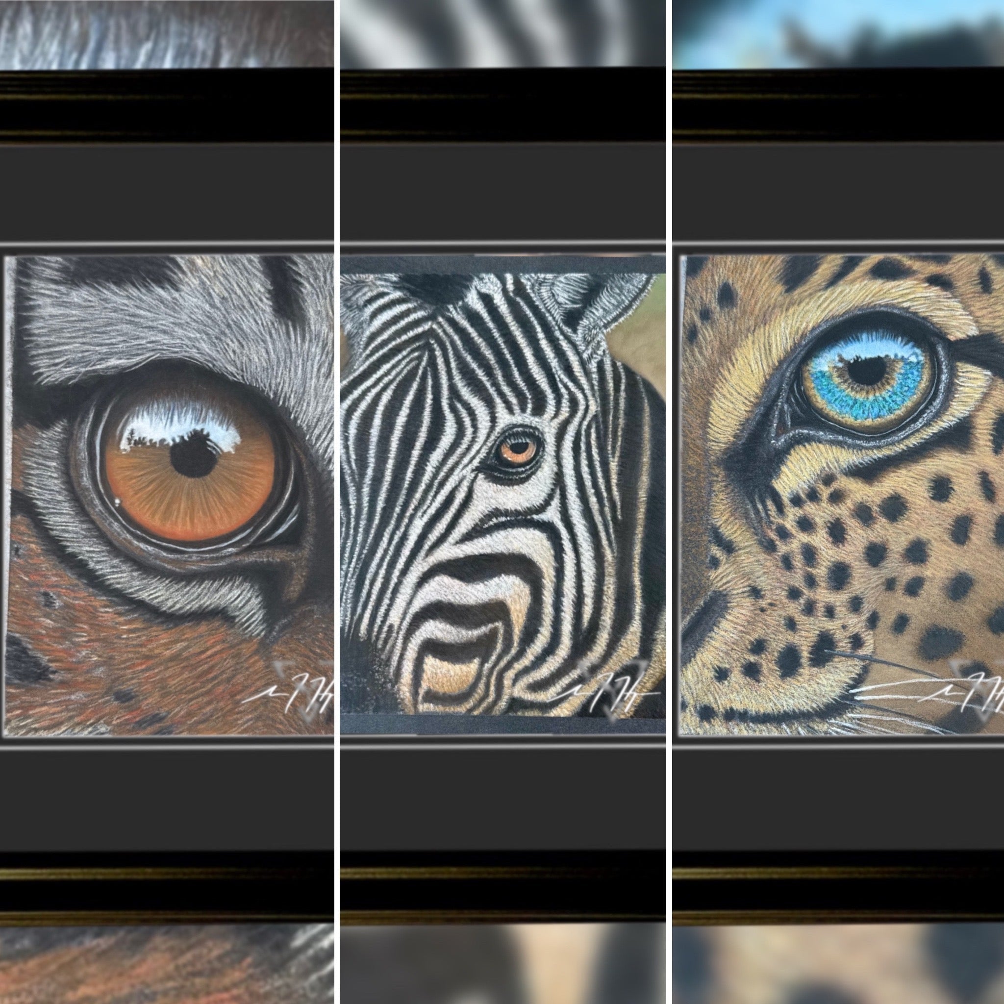Wildlife - aGuyWithMSthatDraws