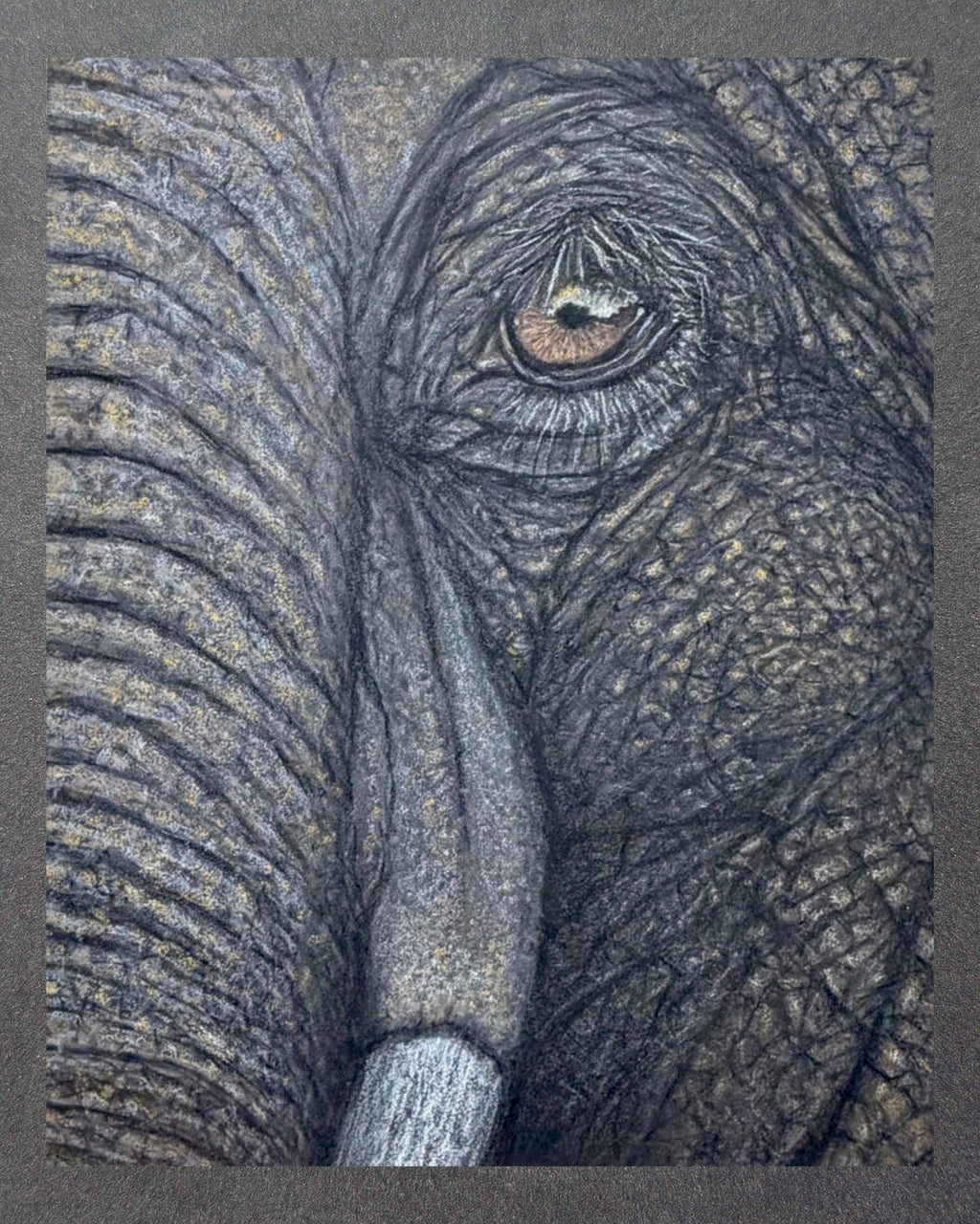 Elephant Eye - 8x10 Signed & Numbered Archival Print