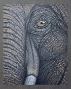 Elephant Eye - 8x10 Signed & Numbered Archival Print