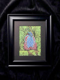 Temminick's Tragopan Hand Drawn Original Drawing Pastel 7x9.5 Copy