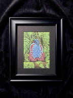 Temminick's Tragopan Hand Drawn Original Drawing Pastel 7x9.5 Copy