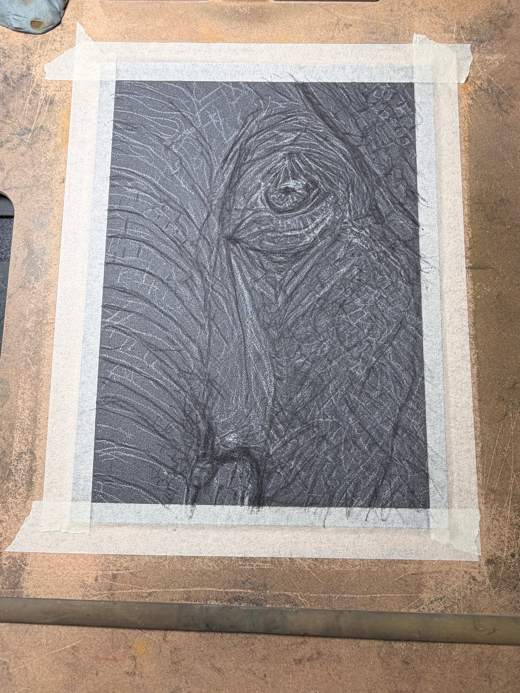 Elephant Eye - 8x10 Signed & Numbered Archival Print