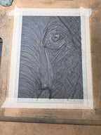 Elephant Eye - 8x10 Signed & Numbered Archival Print