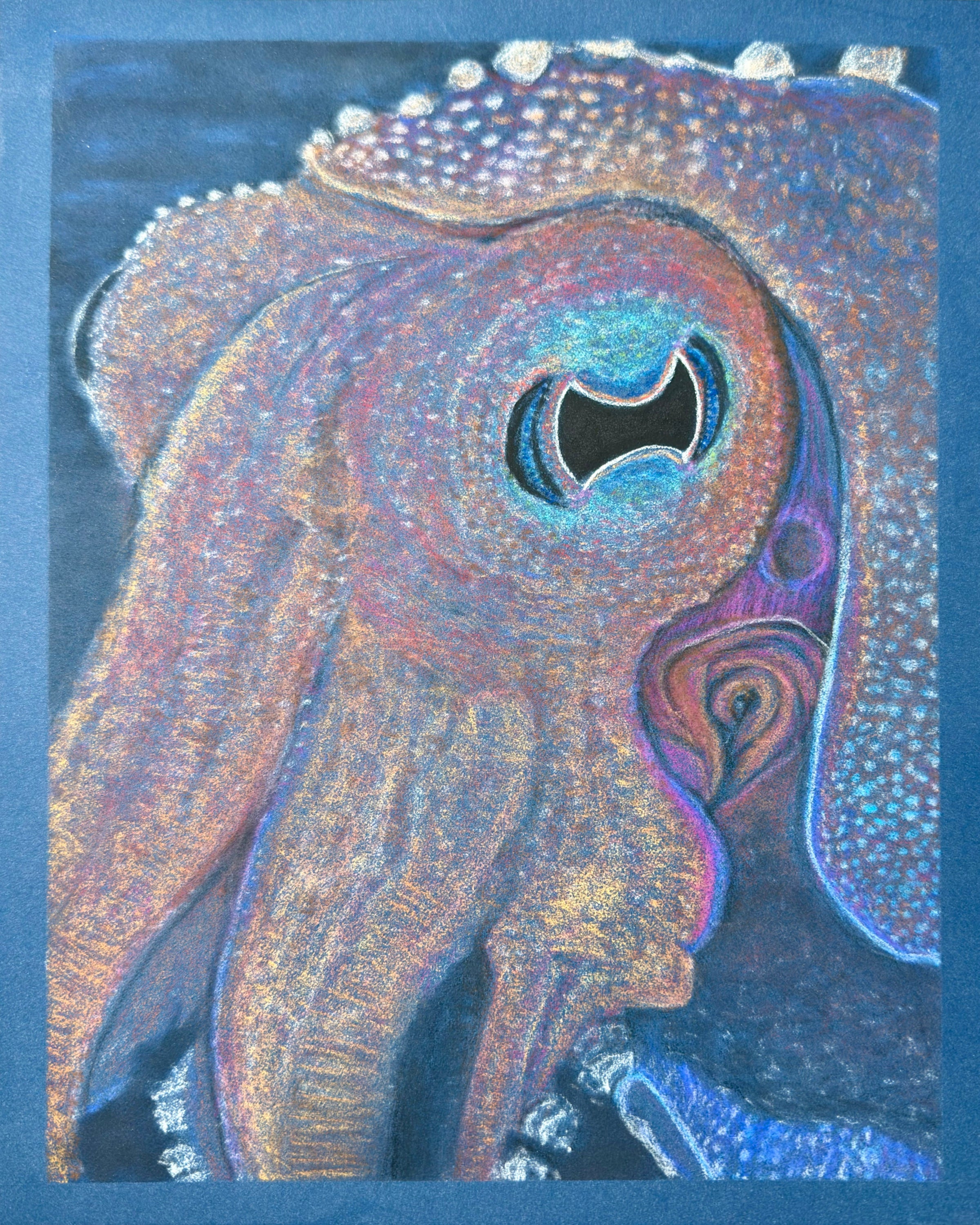 Squid Eye - Giclee Print Hand Drawn Pastel Art 10x12 Signed and Numbered