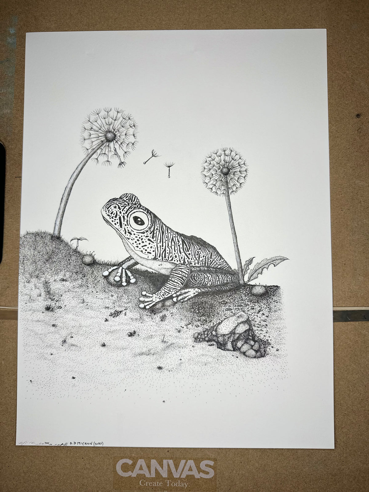 False Malabar gliding frog pen and ink archival print, view 9