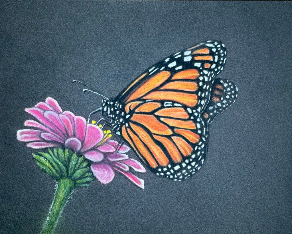 Monarch Butterfly • Hand Drawn Pastel Pencil Illustration • Glass Ornament • 3.5"