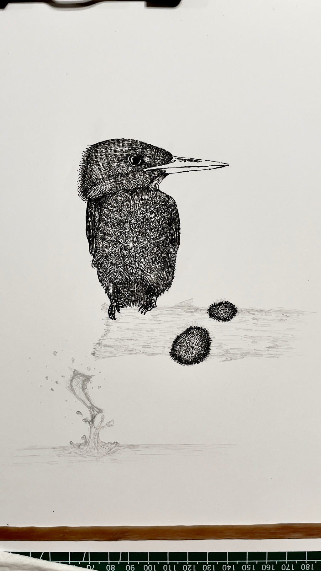 Kingfisher - 8x10 Signed & Numbered Fine Art Print