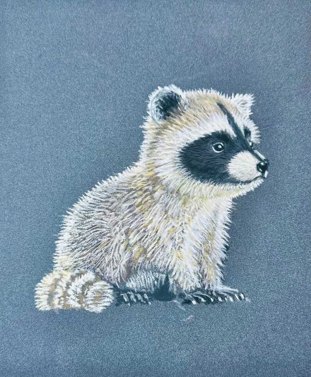 Baby Raccoon • Hand Drawn Pastel Pencil Illustration • Glass Ornament • 3.5"