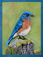 Eastern Bluebird • Hand Drawn Pastel Pencil Illustration • Glass Ornament • 3.5"
