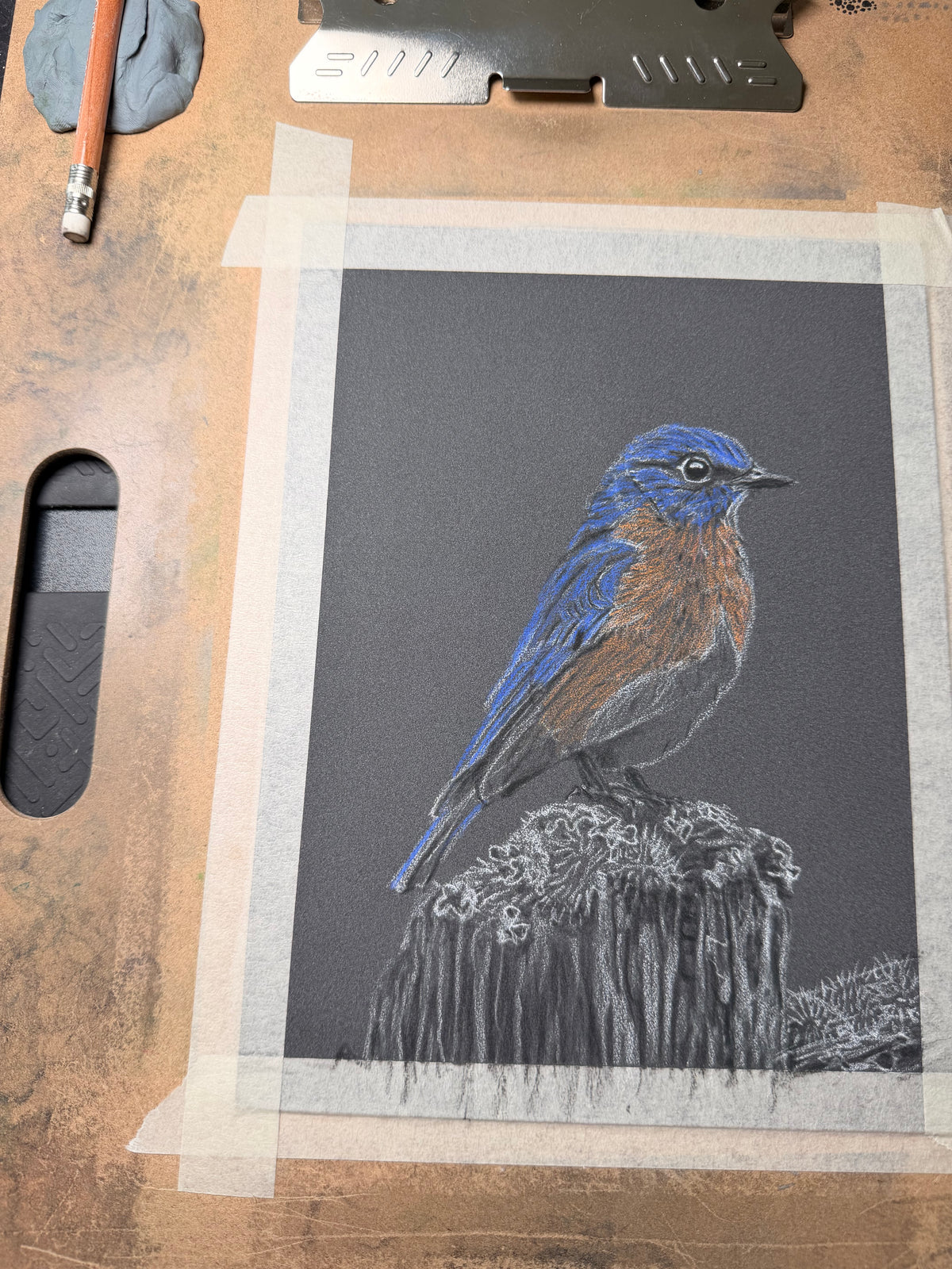 Eastern Bluebird • Hand Drawn Pastel Pencil Illustration • Glass Ornament • 3.5"