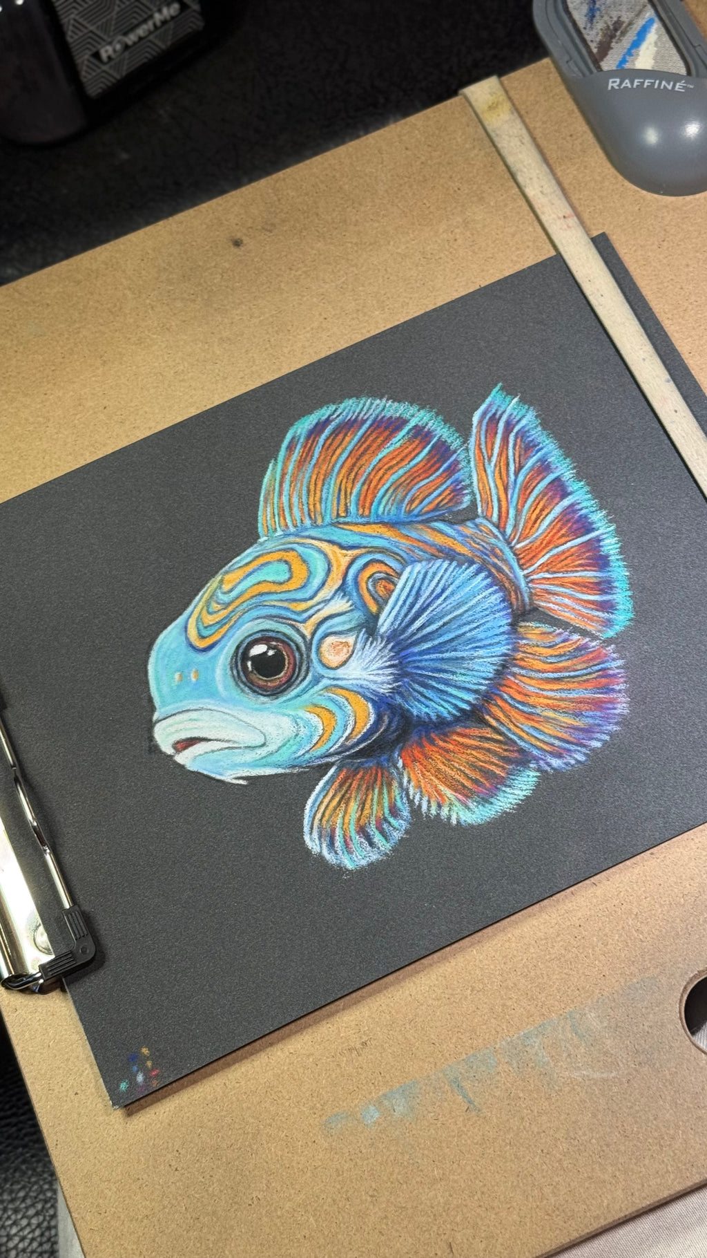 Mandarin Fish • Hand Drawn Original Pastel Pencil Drawing • 7x9.5