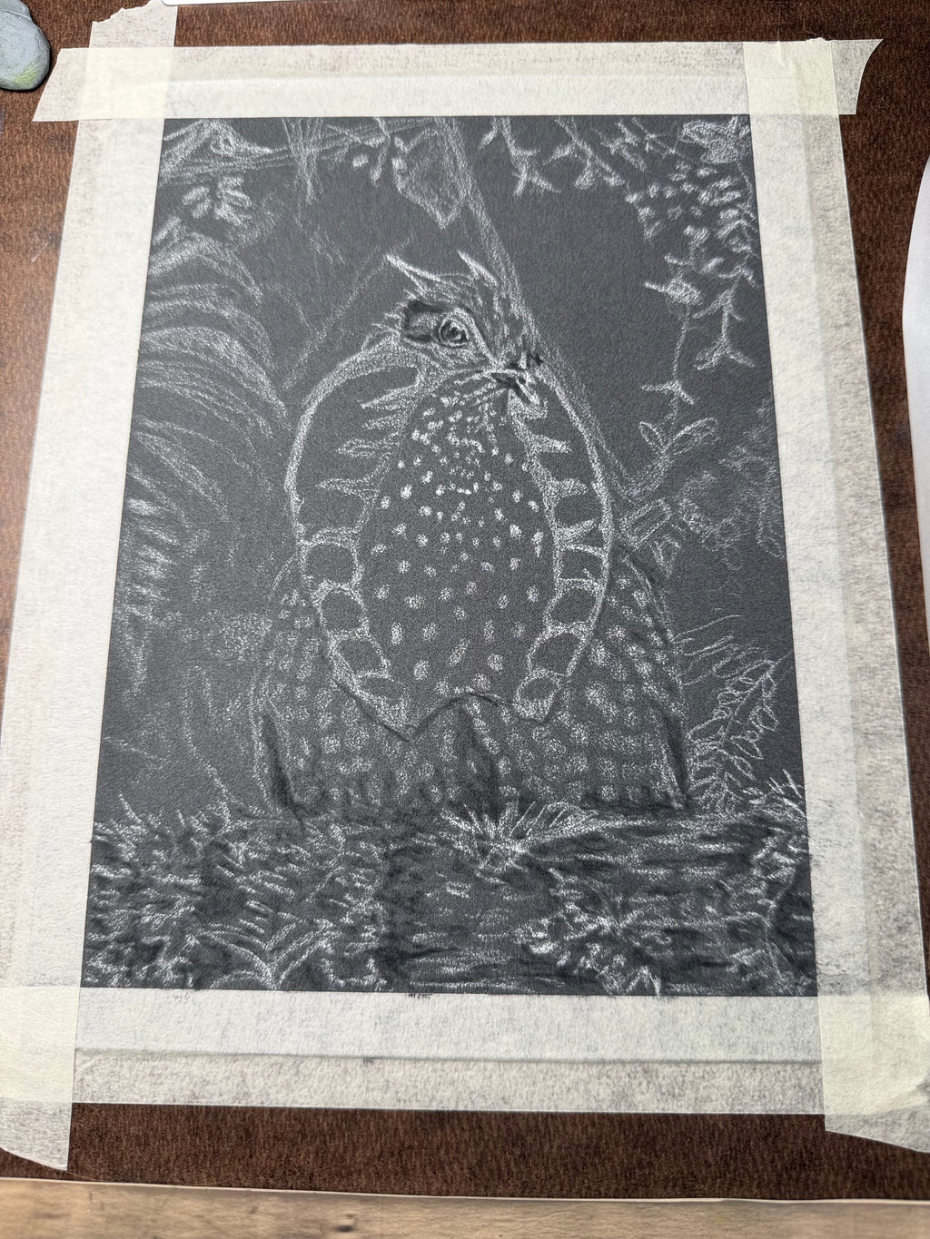 Temminick's Tragopan Hand Drawn Original Drawing Pastel 7x9.5 Copy