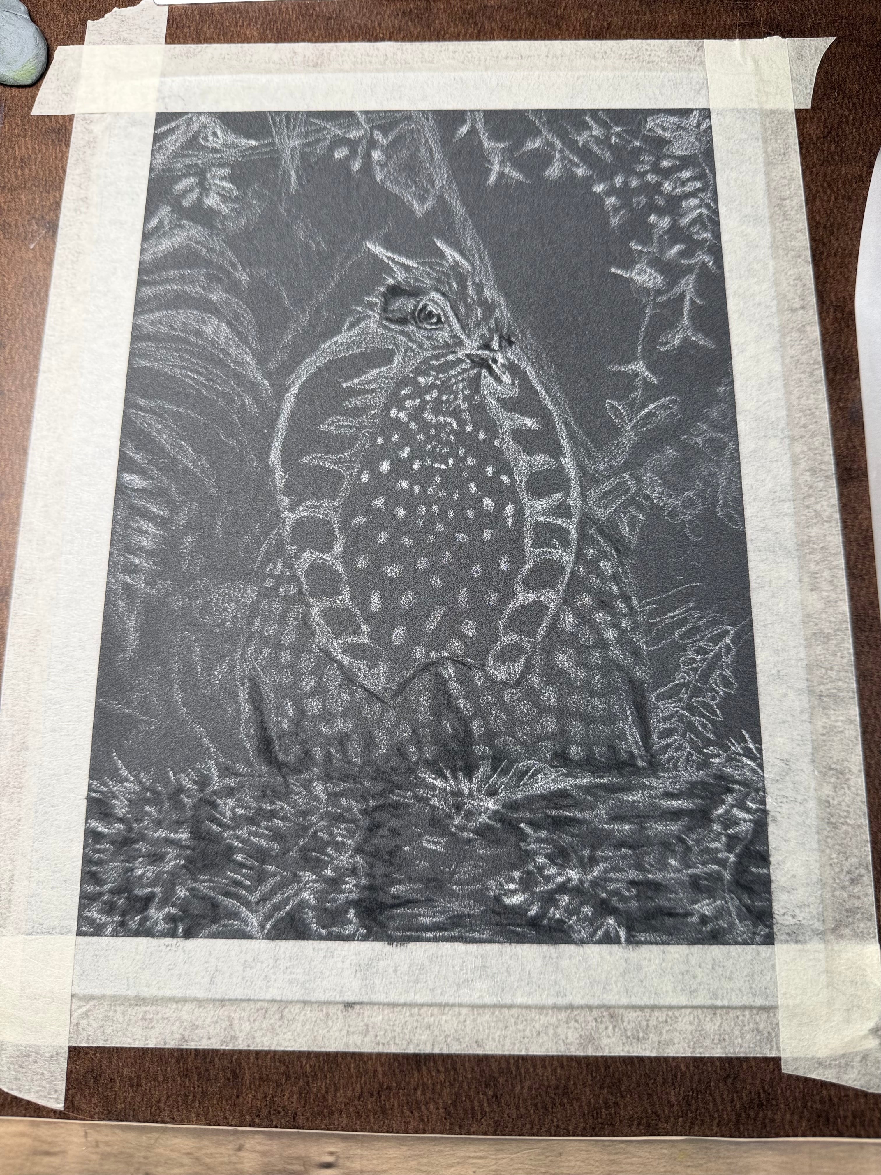 Temminick's Tragopan Hand Drawn Original Drawing Pastel 7x9.5 Copy