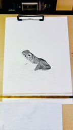 False Malabar gliding frog pen and ink archival print, view 3