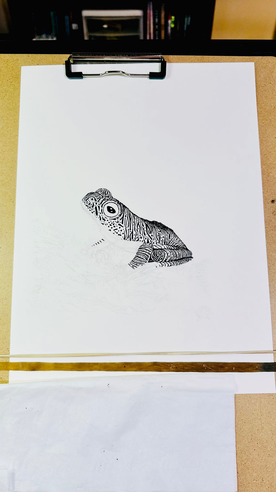 False Malabar gliding frog pen and ink archival print, view 3