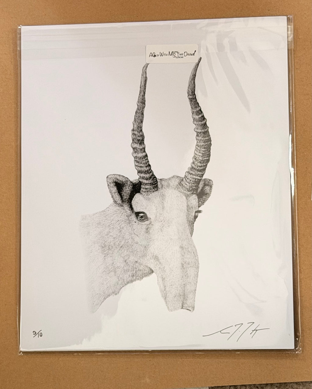 Saiga - 8x10 Signed & Numbered Fine Art Print