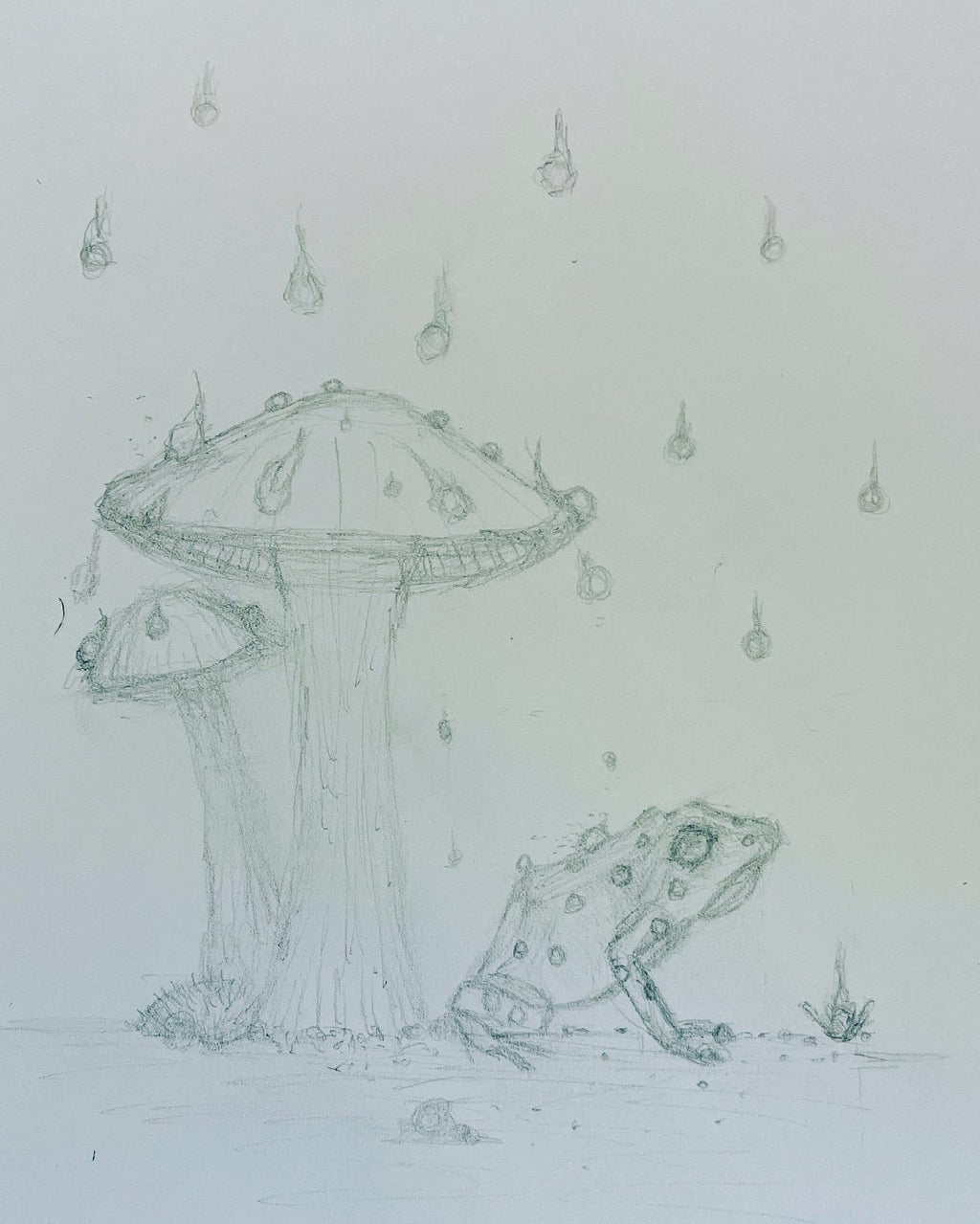 Frog with Mushroom, Digitally Colored - 8x10 Signed Artist Proof Fine Art Print