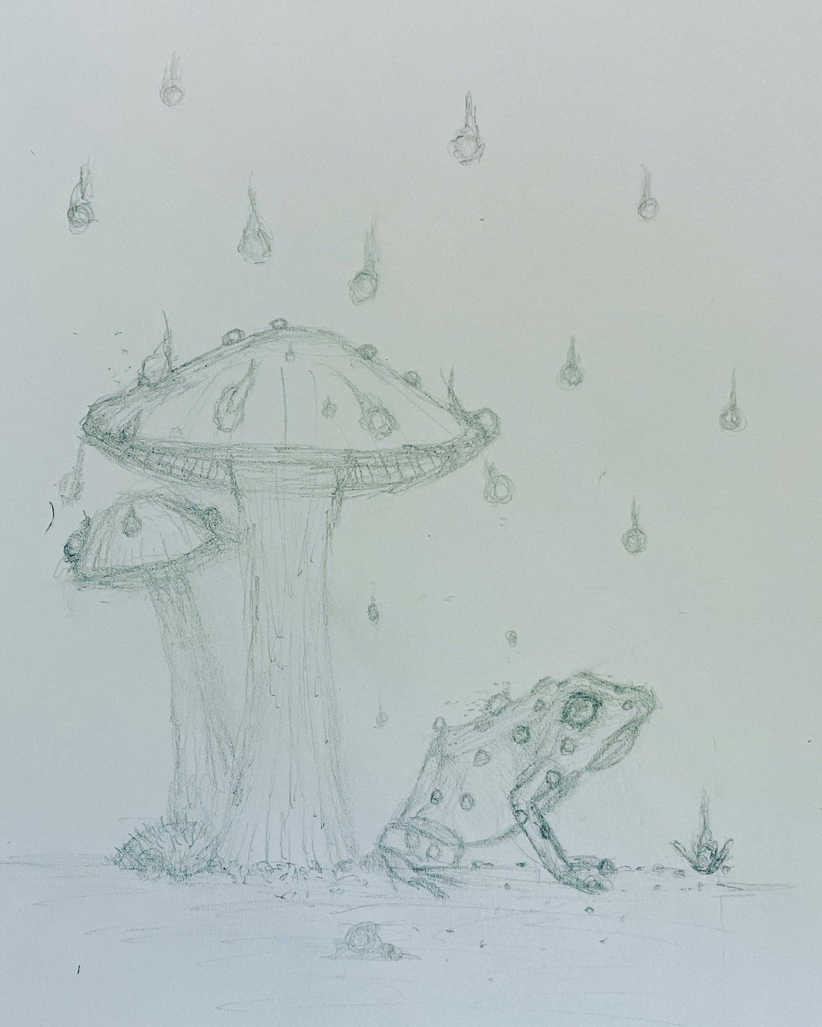 Frog with Mushroom, Digitally Colored - 8x10 Signed Artist Proof Fine Art Print