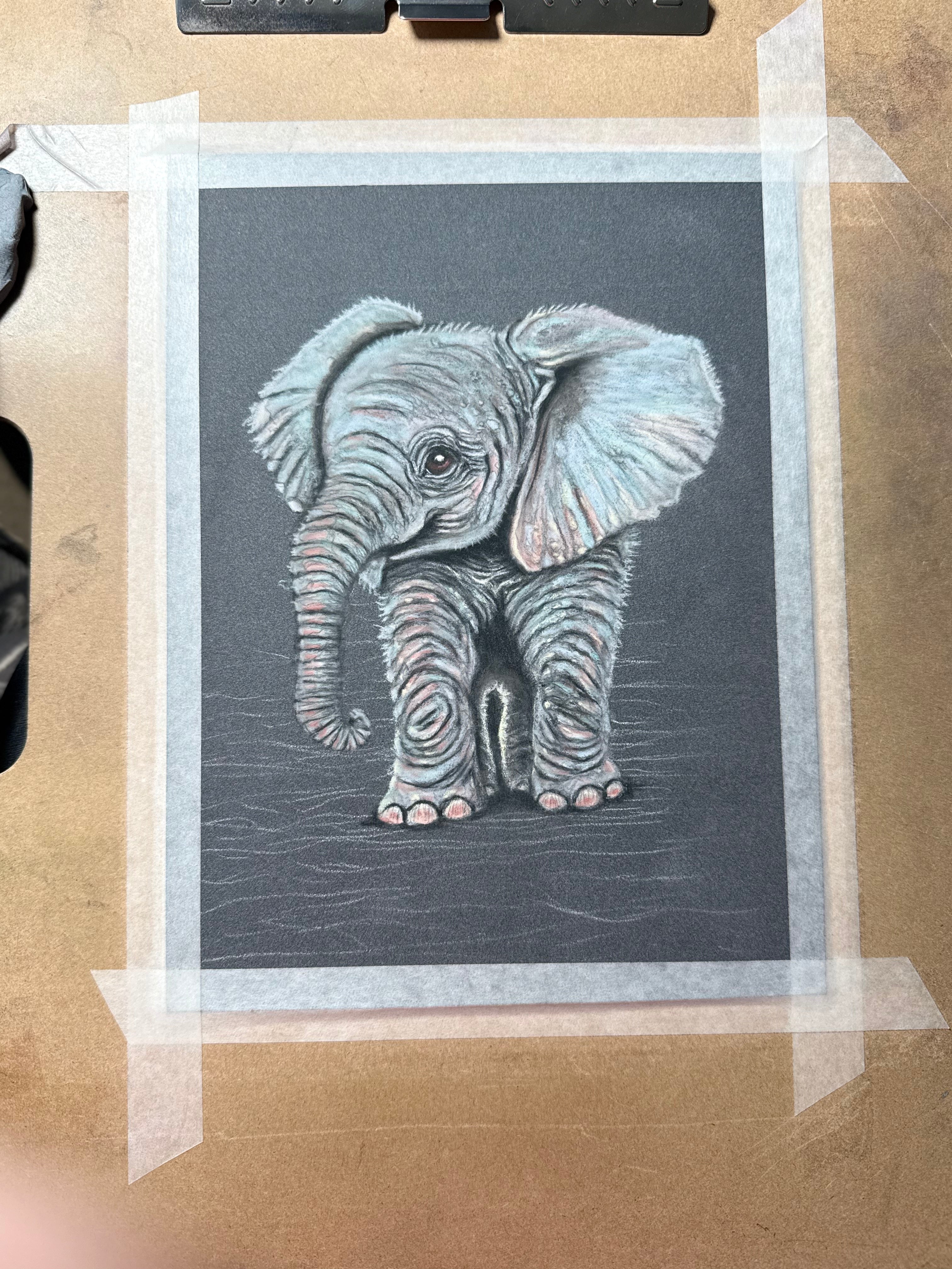Baby Elephant Giclee Print Hand Drawn Pastel Art 10x12 - 8x10 Print Area Signed and Numbered