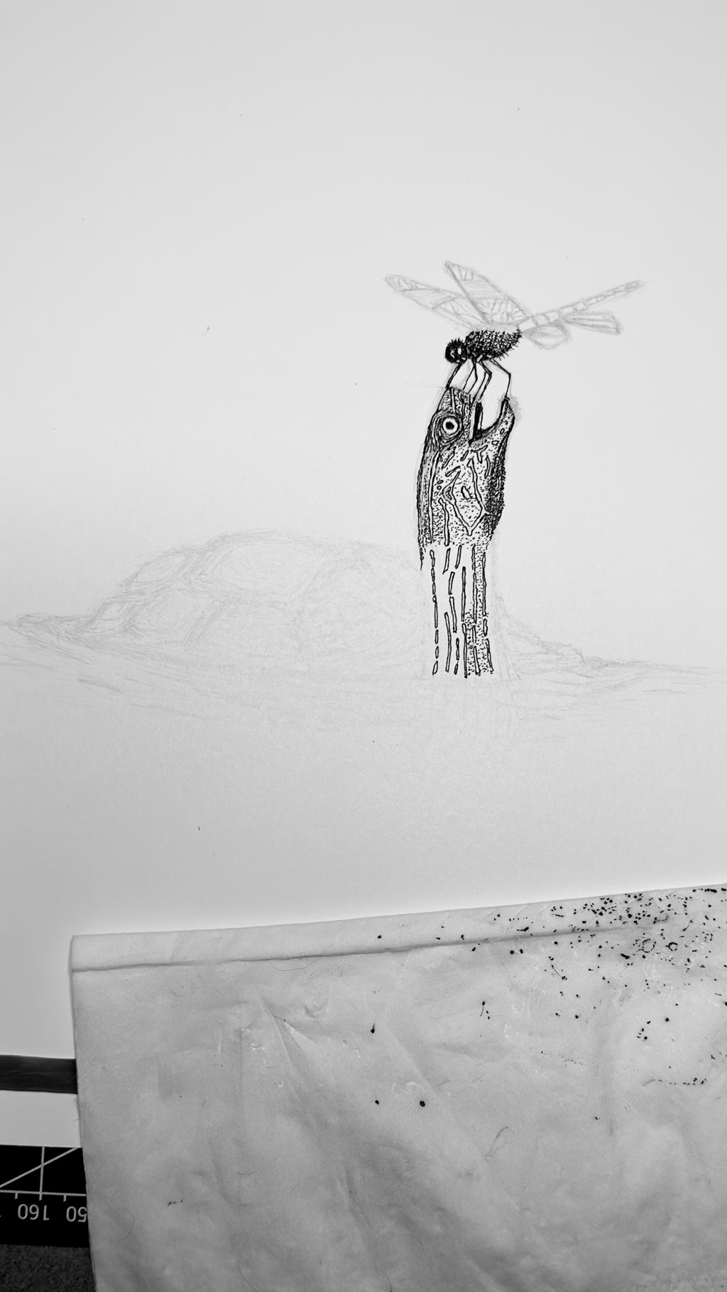 Turtle in Water with Dragonfly - 8x10 Signed & Numbered Fine Art Print