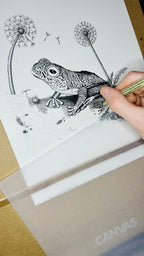 False Malabar gliding frog pen and ink archival print, view 8