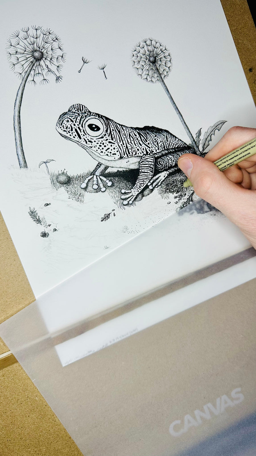 False Malabar gliding frog pen and ink archival print, view 8