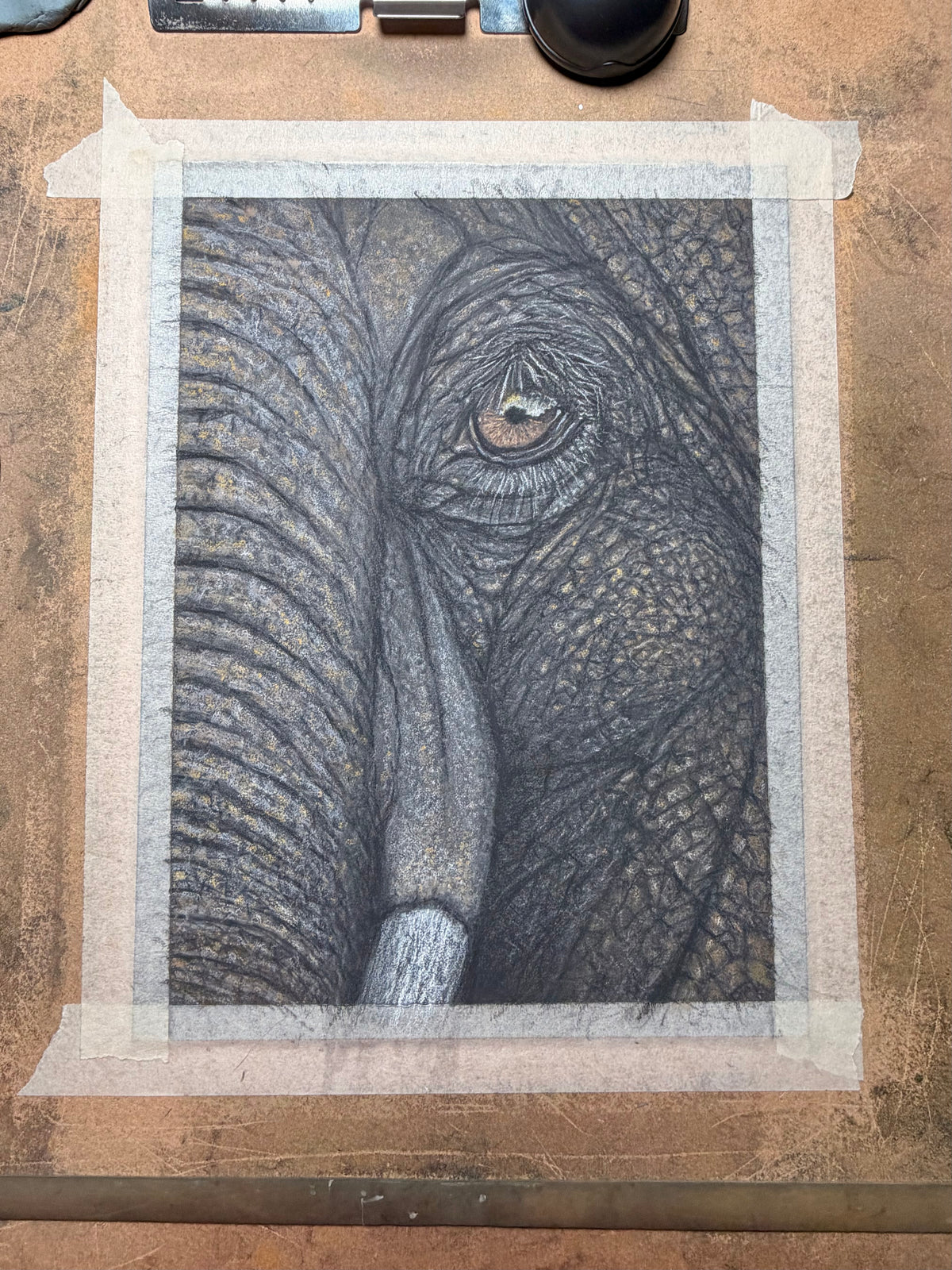 Elephant Eye - 8x10 Signed & Numbered Archival Print
