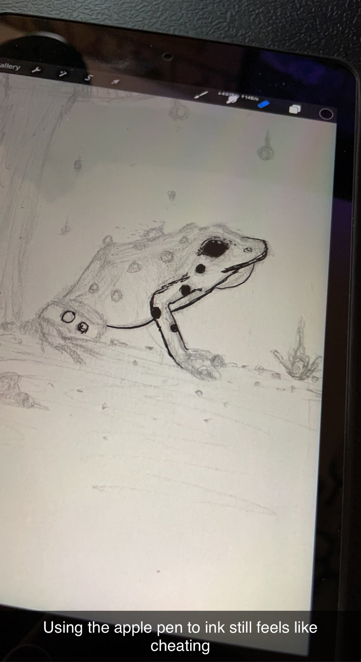 Frog with Mushroom, Digitally Colored - 8x10 Signed Artist Proof Fine Art Print