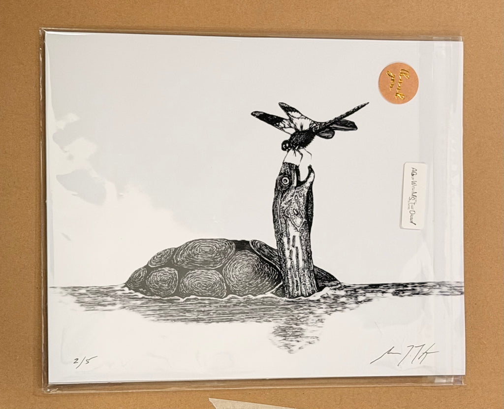 Turtle in Water with Dragonfly - 8x10 Signed & Numbered Fine Art Print