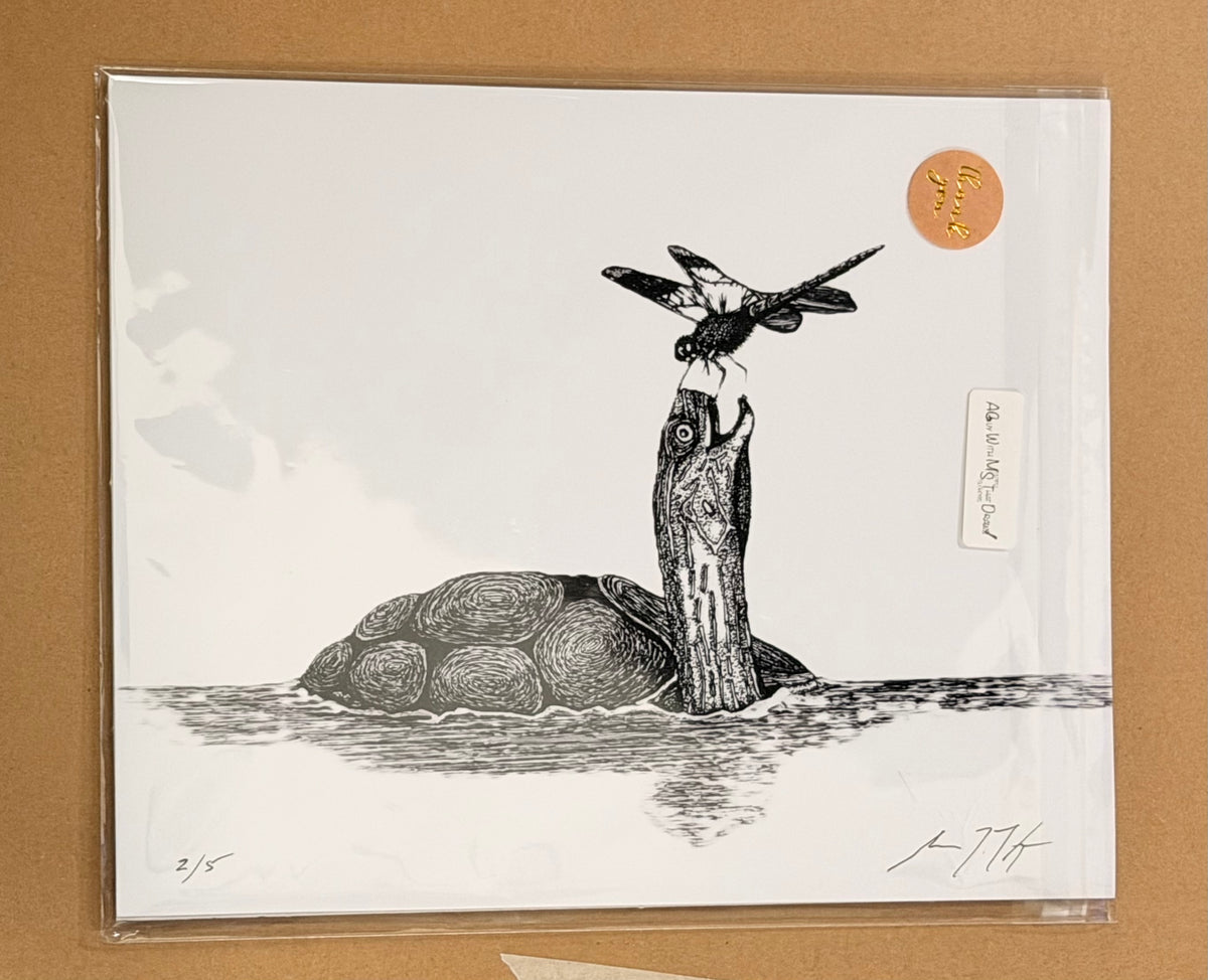 Turtle in Water with Dragonfly - 8x10 Signed & Numbered Fine Art Print