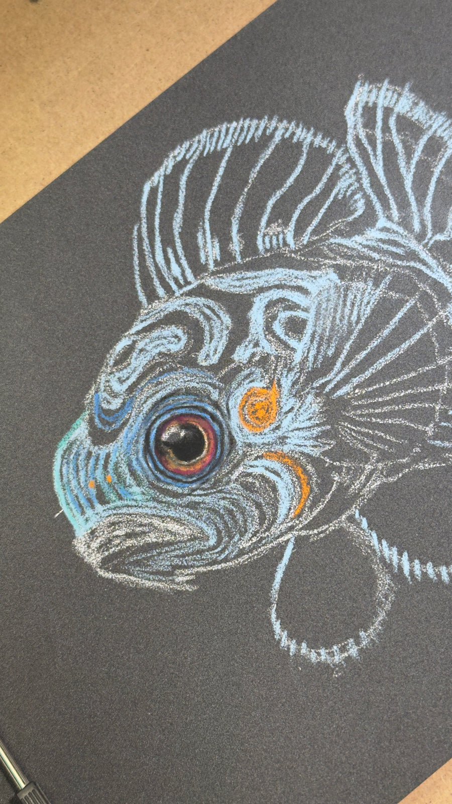 Mandarin Fish • Hand Drawn Pastel Pencil Illustration • Glass Ornament • 3.5"