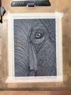 Elephant Eye - 8x10 Signed & Numbered Archival Print