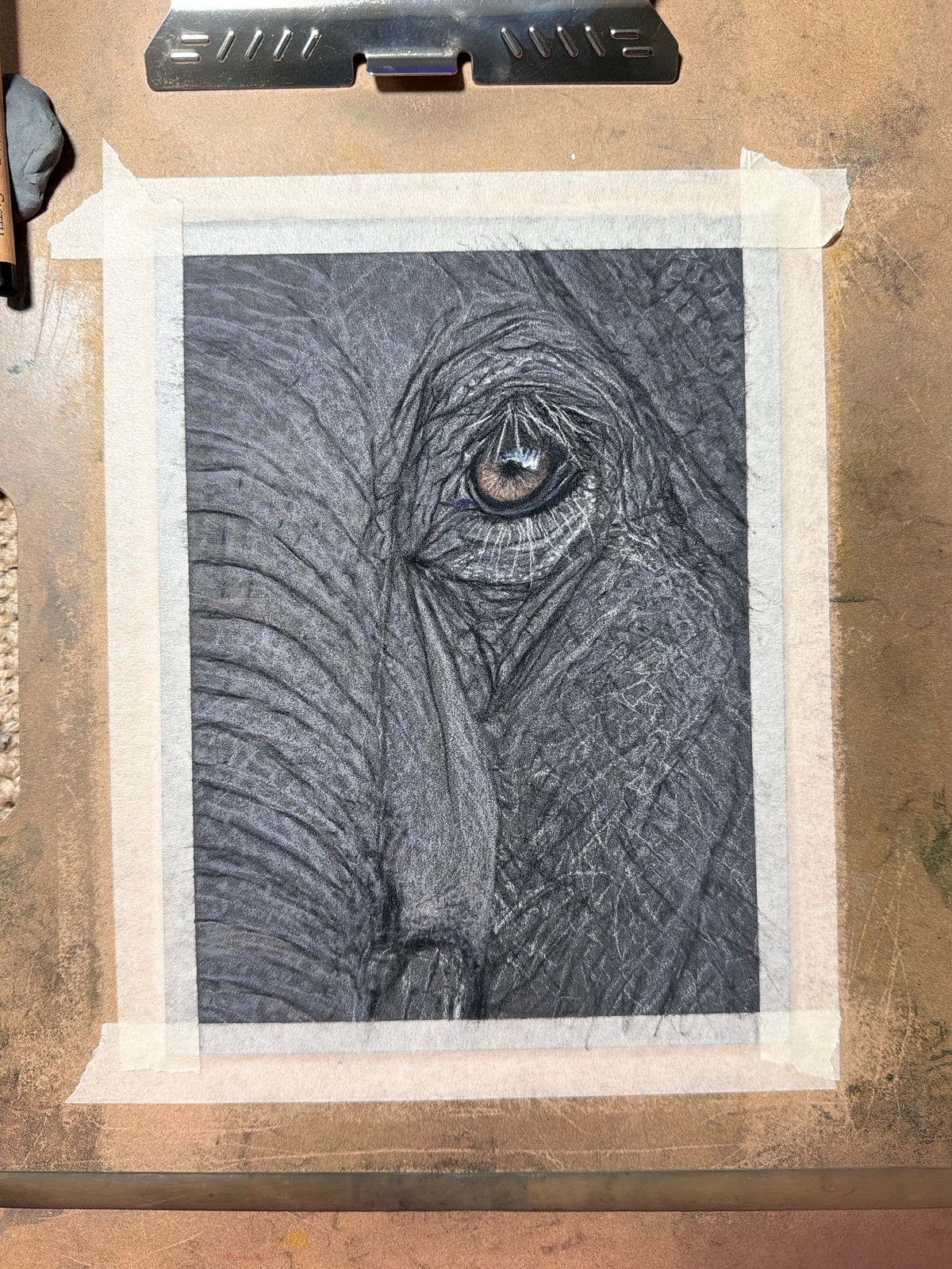 Elephant Eye - 8x10 Signed & Numbered Archival Print