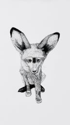 Bat-Eared Fox - 8x10 Signed & Numbered Fine Art Print