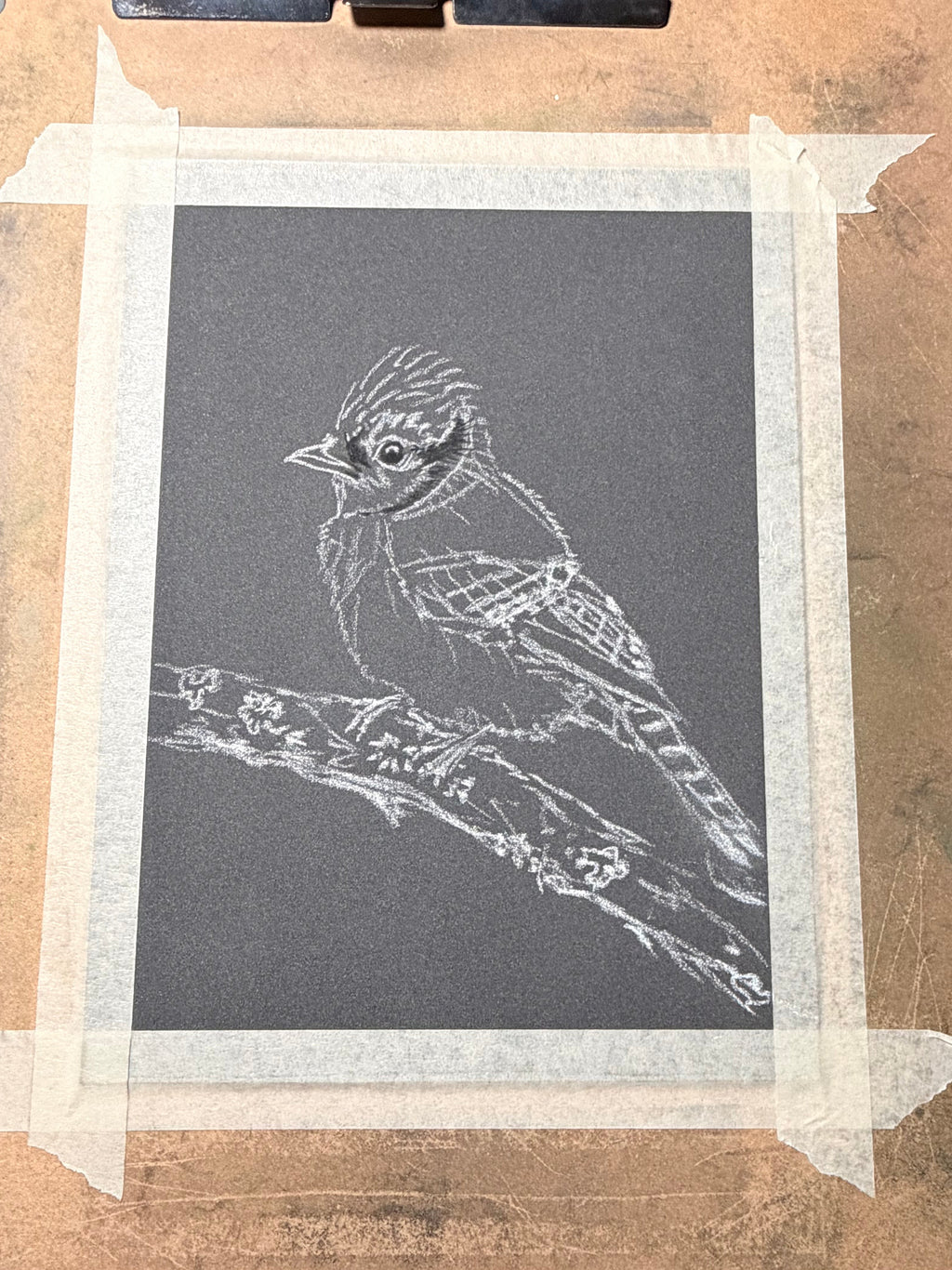 Blue Jay • Hand Drawn Pastel Pencil Illustration • Glass Ornament • 3.5"