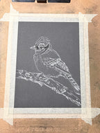 Blue Jay • Hand Drawn Pastel Pencil Illustration • Glass Ornament • 3.5"