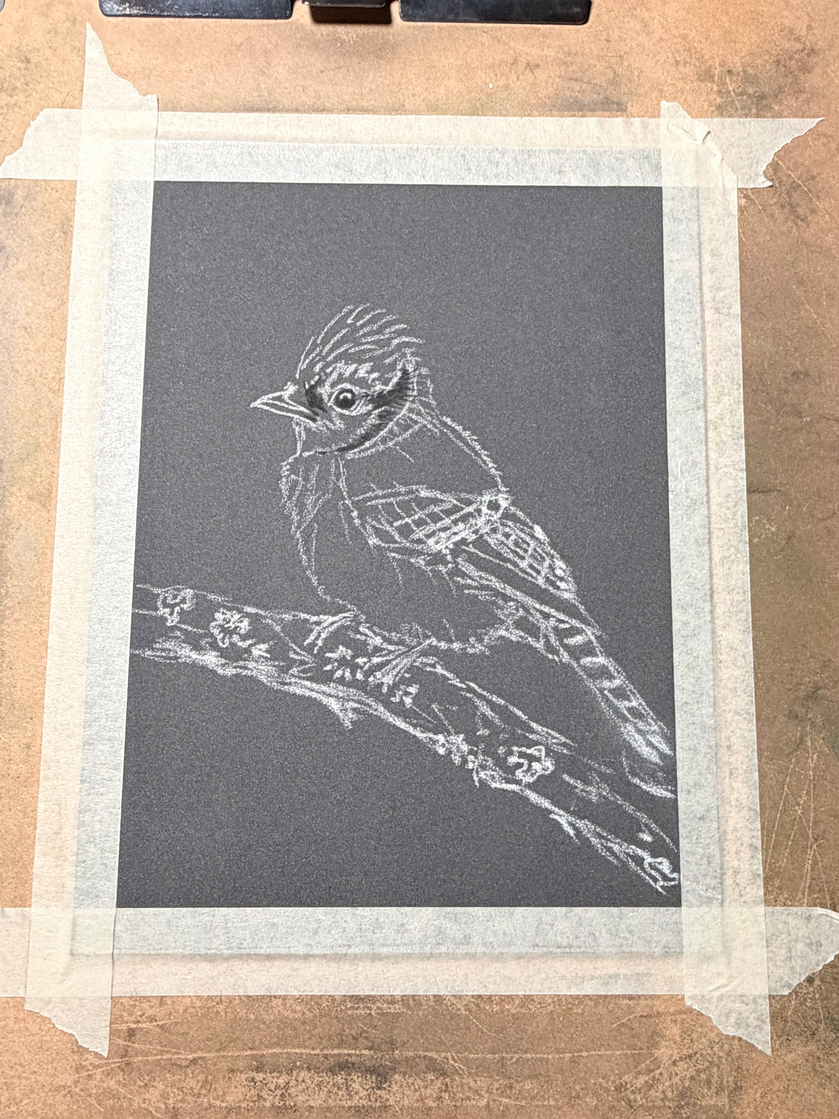 Blue Jay • Hand Drawn Pastel Pencil Illustration • Glass Ornament • 3.5"