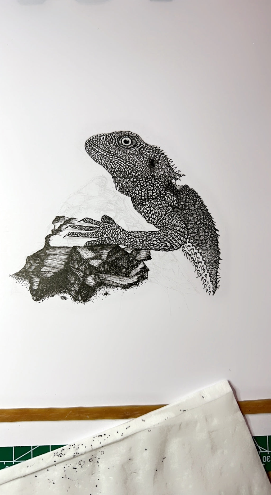 Bearded Dragon - 8x10 Signed & Numbered Fine Art Print