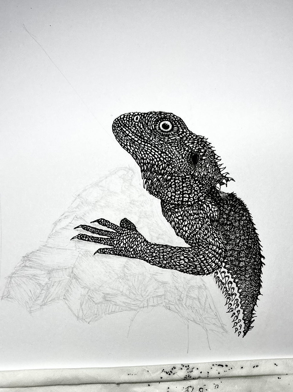 Bearded Dragon - 8x10 Signed & Numbered Fine Art Print