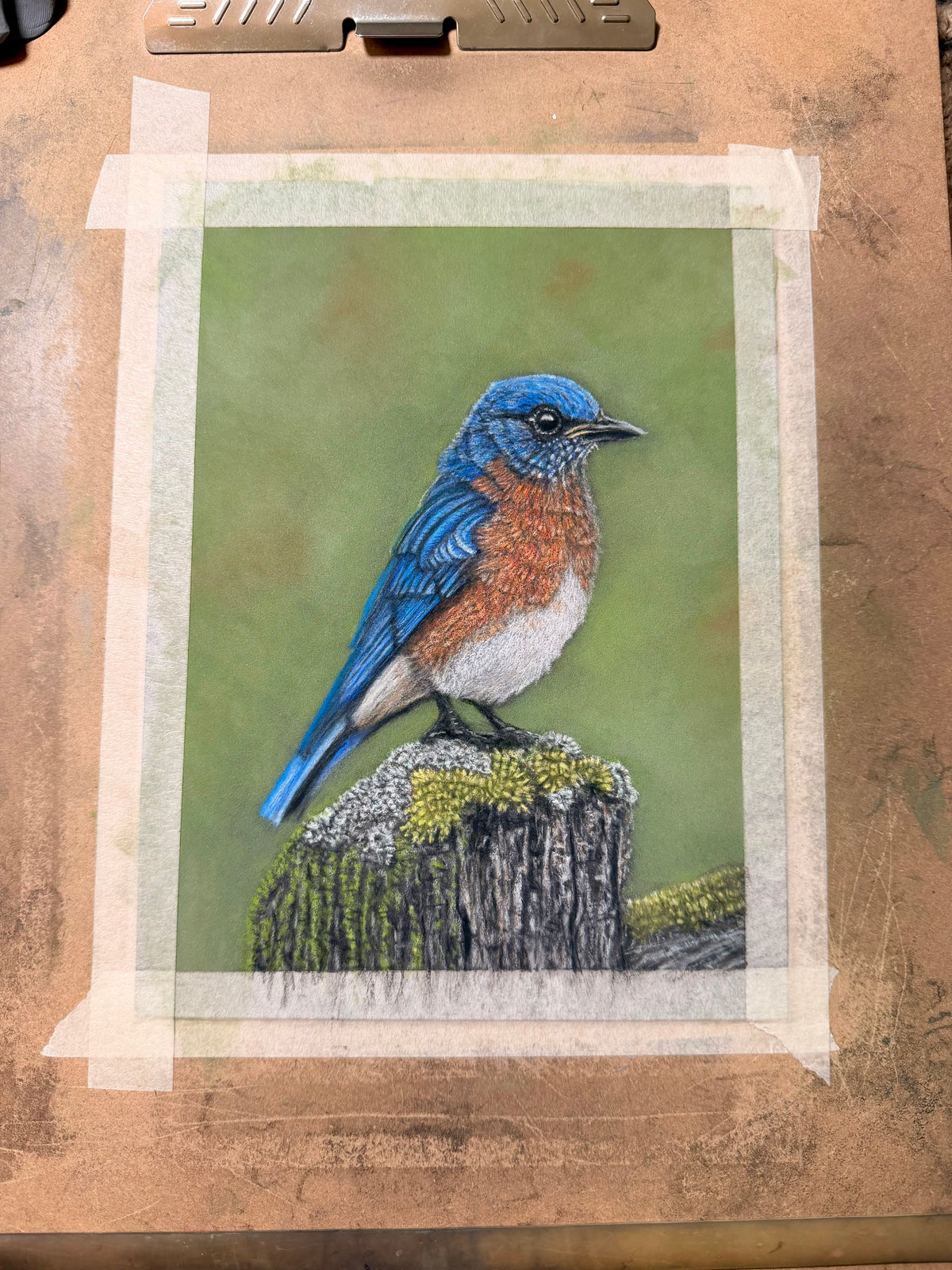 Eastern Bluebird • Hand Drawn Pastel Pencil Illustration • Glass Ornament • 3.5"
