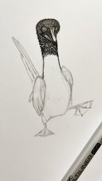 Blue Footed Booby • Hand Drawn Ink Illustration • Glass Ornament • 3.5"