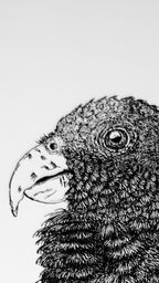 White-capped Pionus Parrot - 8x10 Signed & Numbered Fine Art Print