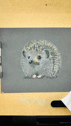 Hedgehog • Hand Drawn Original Pastel Pencil Drawing