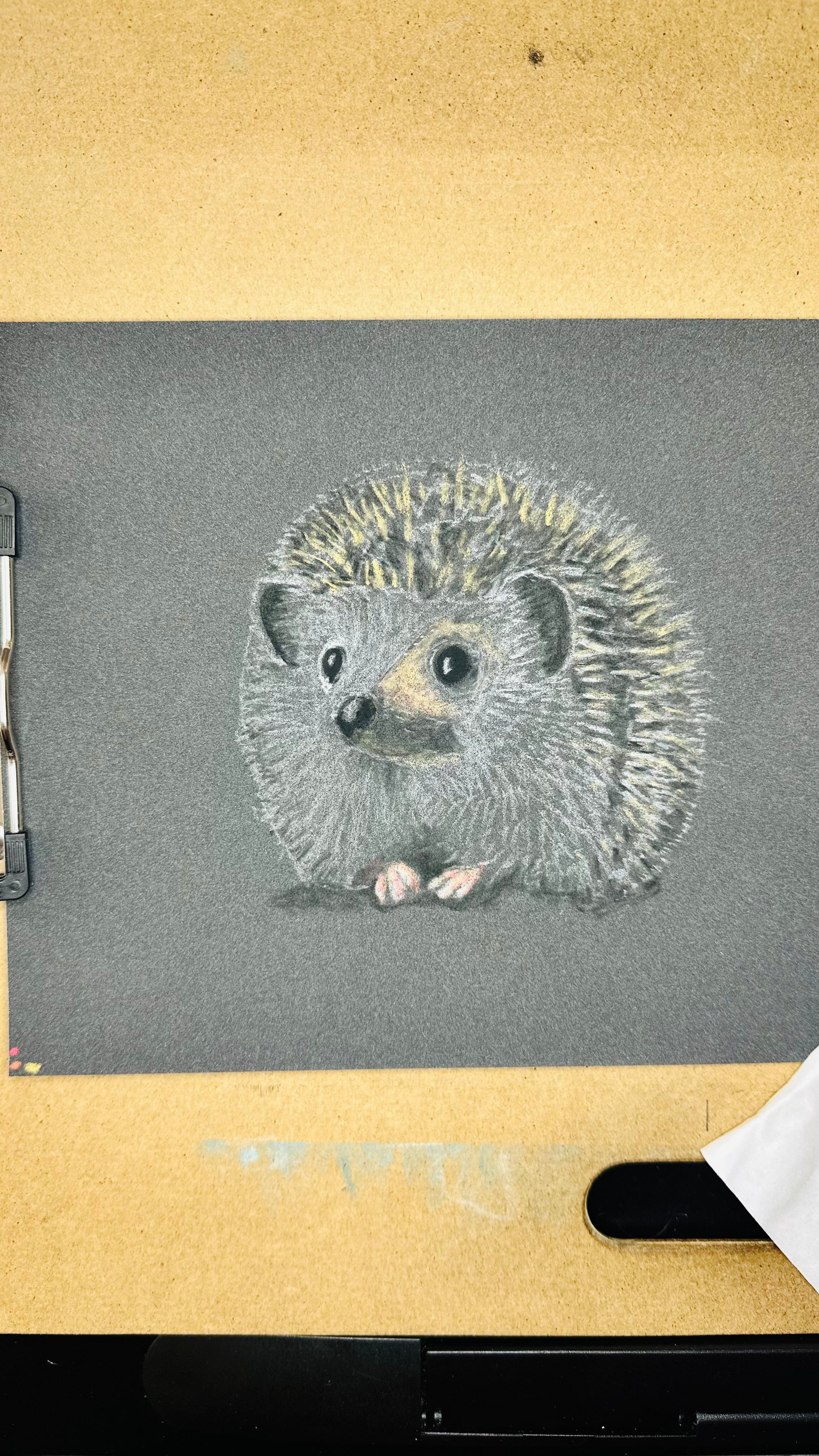 Hedgehog • Hand Drawn Original Pastel Pencil Drawing