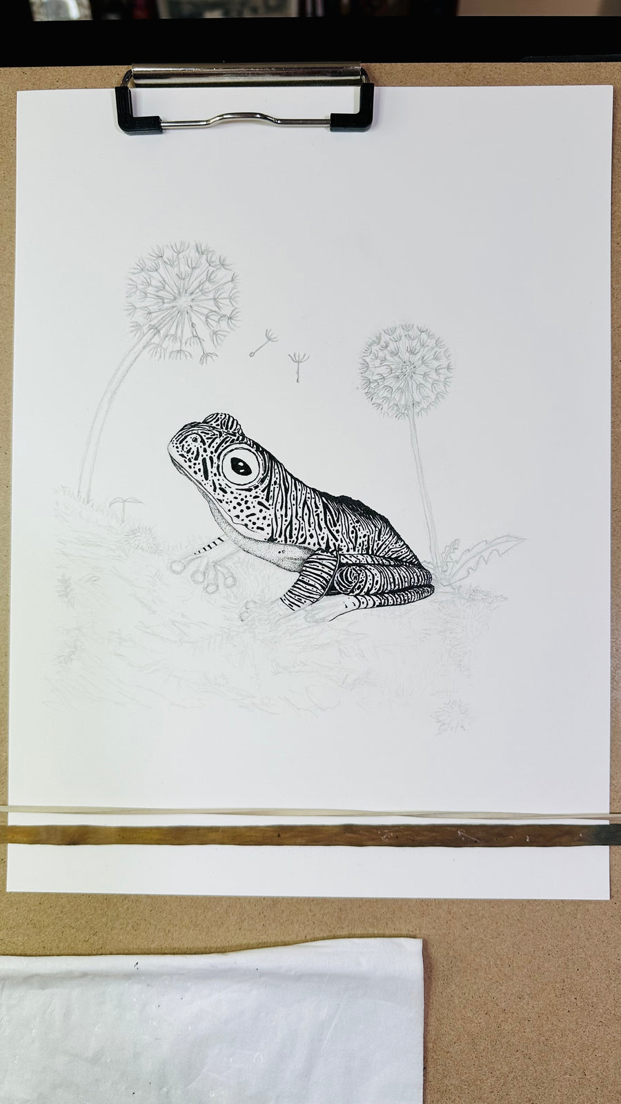 False Malabar gliding frog pen and ink archival print, view 4