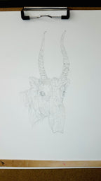 Saiga - 8x10 Signed & Numbered Fine Art Print