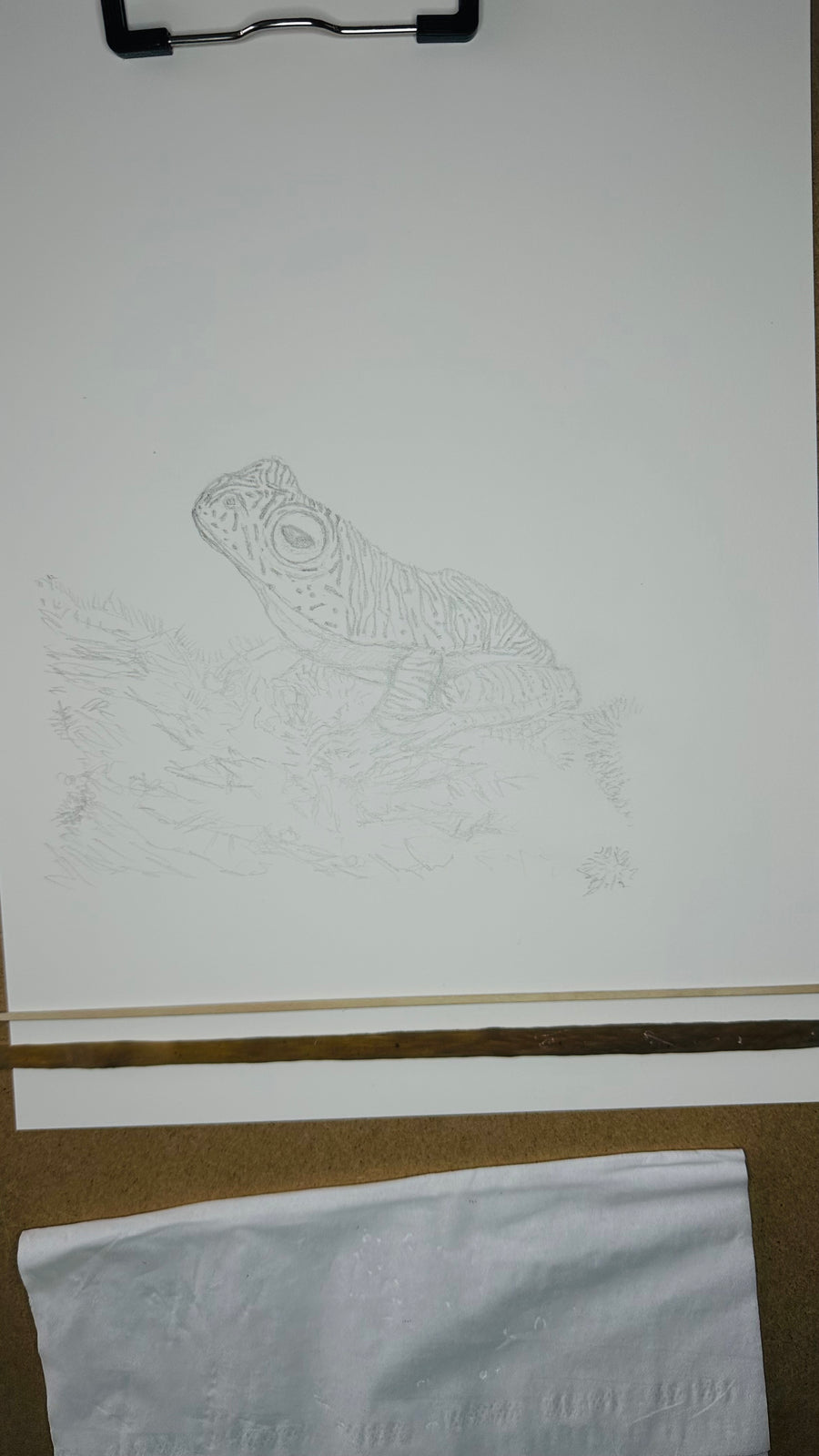 False Malabar gliding frog pen and ink archival print, view 2