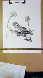 False Malabar gliding frog pen and ink archival print, view 7